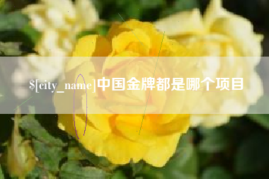泰安中国金牌都是哪个项目