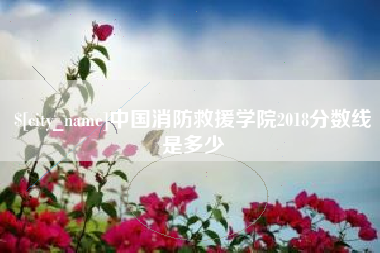泰安中国消防救援学院2018分数线是多少