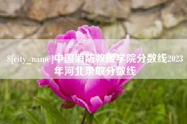 泰安中国消防救援学院分数线2023年河北录取分数线