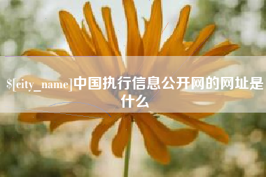 泰安中国执行信息公开网的网址是什么