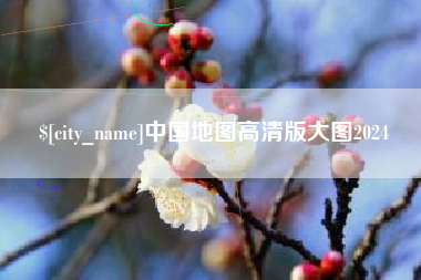 泰安中国地图高清版大图2024
