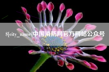 泰安中国消防网官方网站公众号
