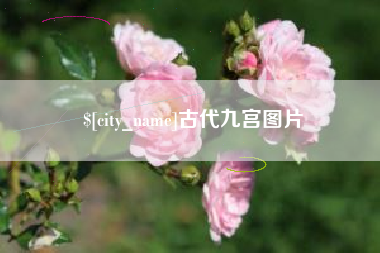 泰安古代九宫图片