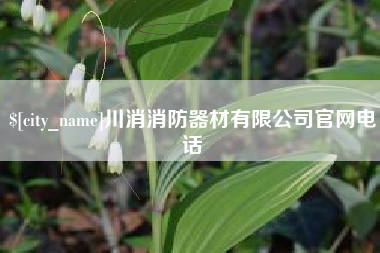 泰安川消消防器材有限公司官网电话