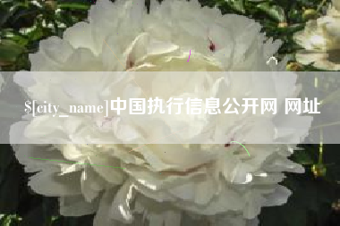 泰安中国执行信息公开网 网址