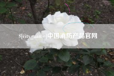 泰安中国消防产品官网