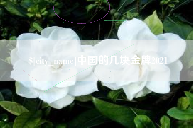 泰安中国的几块金牌2021