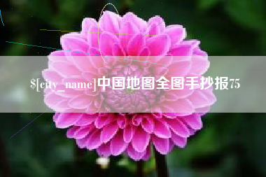 泰安中国地图全图手抄报75