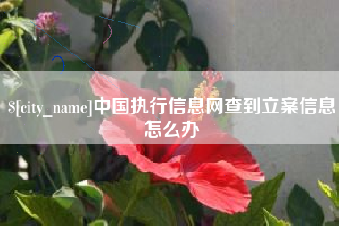 泰安中国执行信息网查到立案信息怎么办