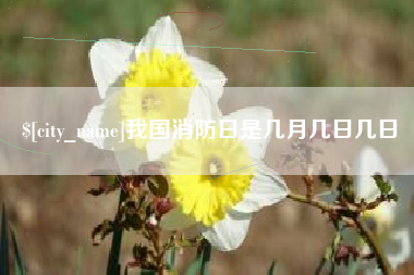 泰安我国消防日是几月几日几日