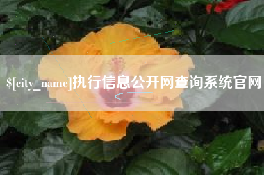 泰安执行信息公开网查询系统官网
