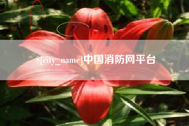 泰安中国消防网平台