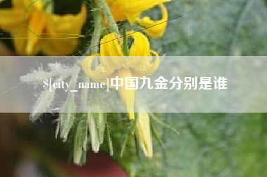 泰安中国九金分别是谁