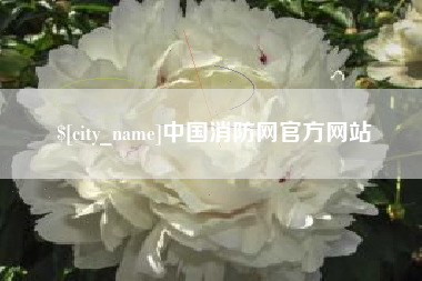 泰安中国消防网官方网站