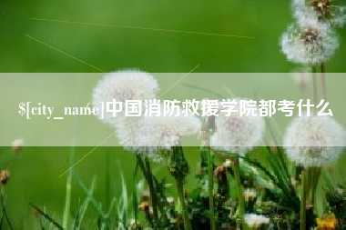 泰安中国消防救援学院都考什么