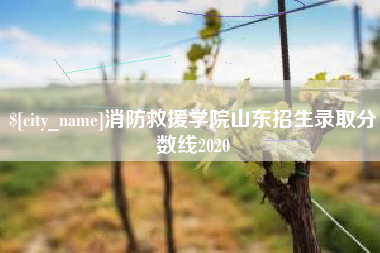 泰安消防救援学院山东招生录取分数线2020