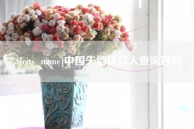 泰安中国失信执行人查询官网