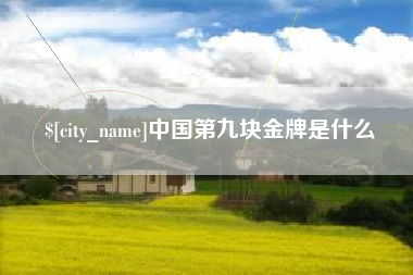 泰安中国第九块金牌是什么