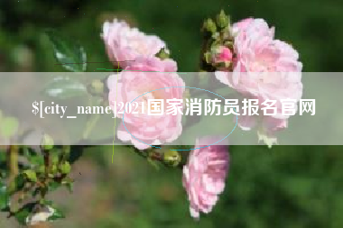 泰安2021国家消防员报名官网