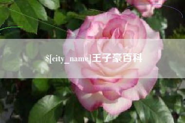 泰安王子豪百科