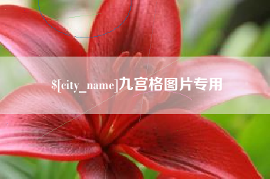 泰安九宫格图片专用