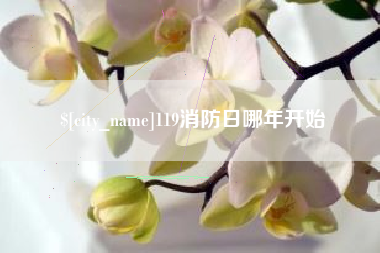 泰安119消防日哪年开始