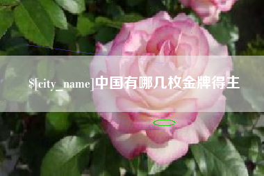 泰安中国有哪几枚金牌得主