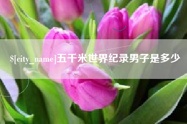 泰安五千米世界纪录男子是多少