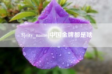泰安中国金牌都是啥