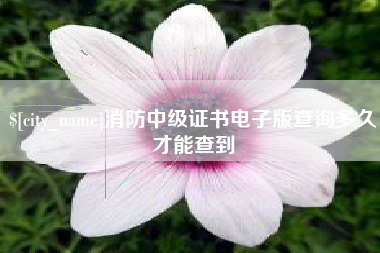 泰安消防中级证书电子版查询多久才能查到