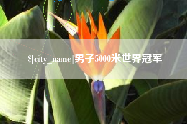 泰安男子5000米世界冠军