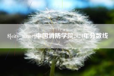 泰安中国消防学院2024年分数线