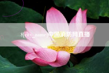 泰安中国消防网直播
