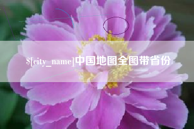 泰安中国地图全图带省份