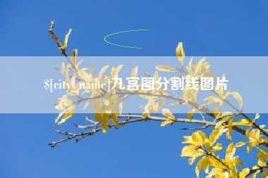 泰安九宫图分割线图片