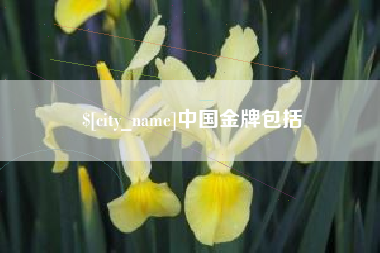 泰安中国金牌包括