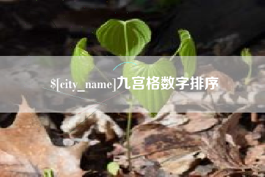 泰安九宫格数字排序