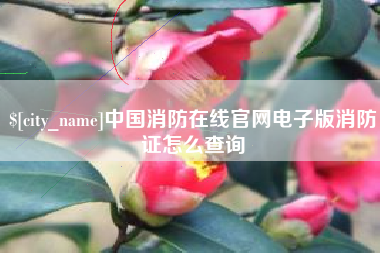 泰安中国消防在线官网电子版消防证怎么查询