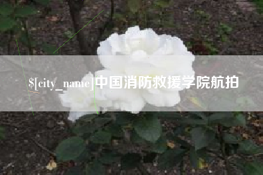 泰安中国消防救援学院航拍