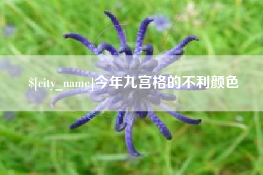 泰安今年九宫格的不利颜色