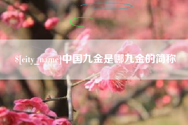 泰安中国九金是哪九金的简称