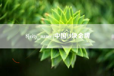 泰安中国19块金牌