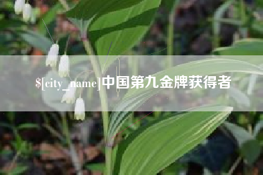 泰安中国第九金牌获得者
