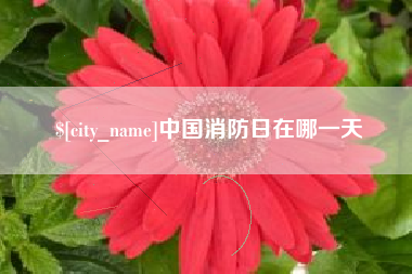 泰安中国消防日在哪一天
