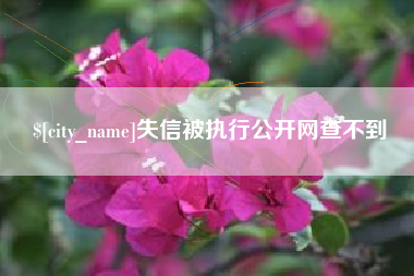 泰安失信被执行公开网查不到