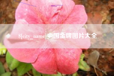 泰安中国金牌图片大全