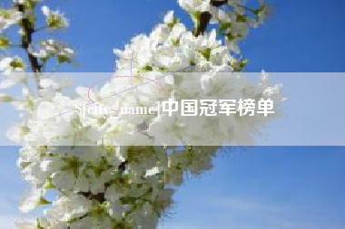 泰安中国冠军榜单