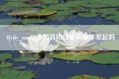 泰安全国消防日是从哪年发起的