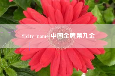泰安中国金牌第九金