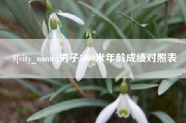 泰安男子5000米年龄成绩对照表